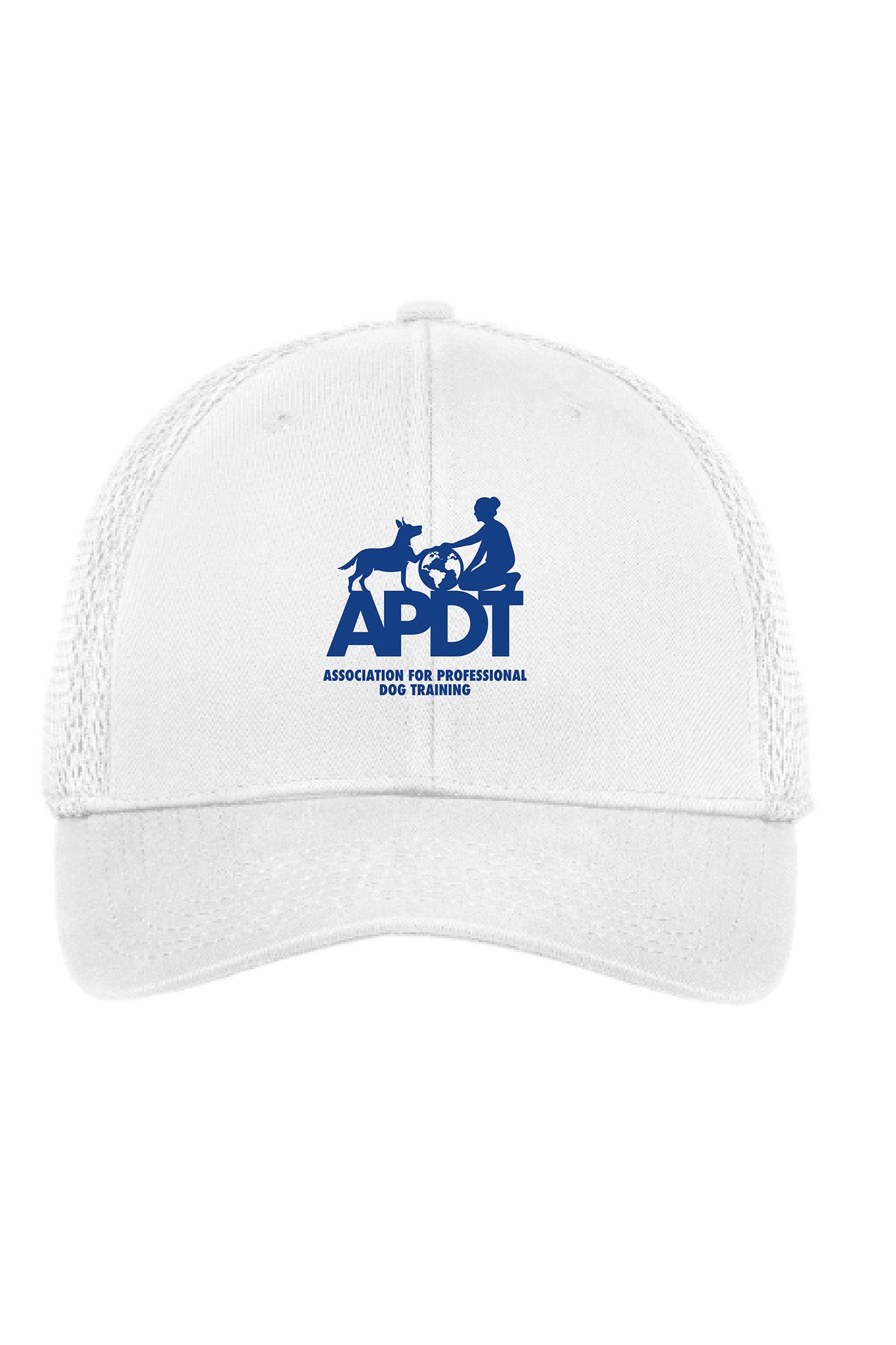APDT International Throwback Snapback Mesh Cap
