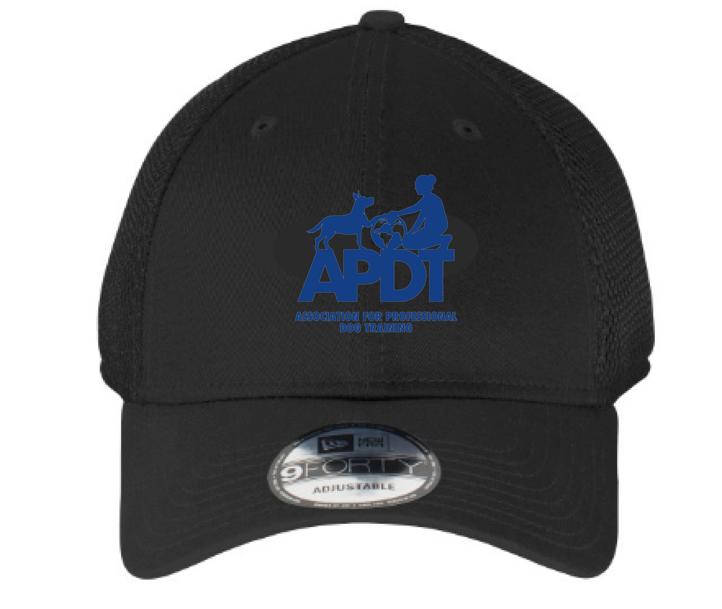 APDT International Throwback Snapback Mesh Cap